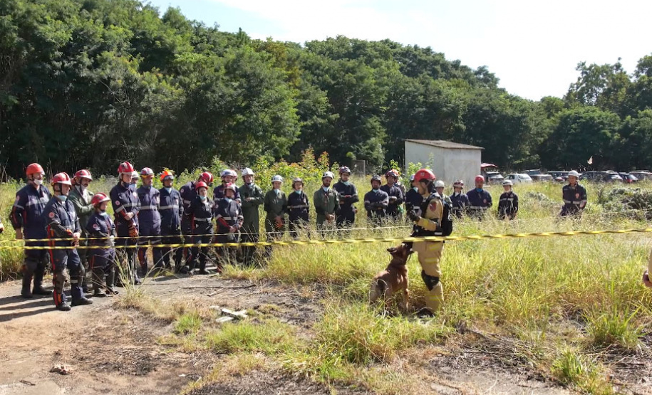 Treinamento reforça papel estratégico dos cães de busca dos bombeiros em resgates