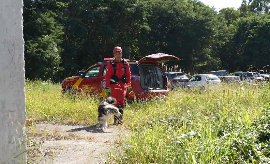 Treinamento reforça papel estratégico dos cães de busca dos bombeiros em resgates
