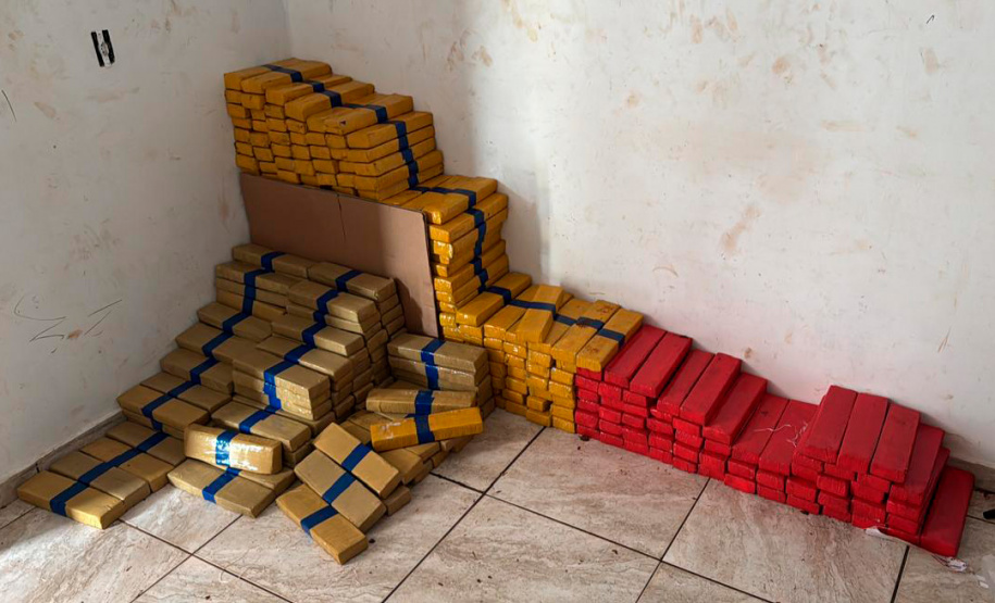 Maior apreensão do ano: PCPR encontra 4,1 toneladas de maconha em Foz do Iguaçu