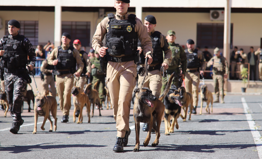 PMPR forma novos policiais especializados no uso de cães e reforça atuação no combate ao crime no Estado