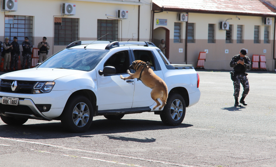 PMPR forma novos policiais especializados no uso de cães e reforça atuação no combate ao crime no Estado