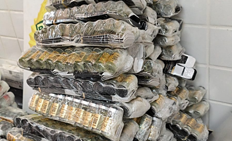 PMPR e PF prendem homem com medicamentos contrabandeados na BR-277, em Cascavel