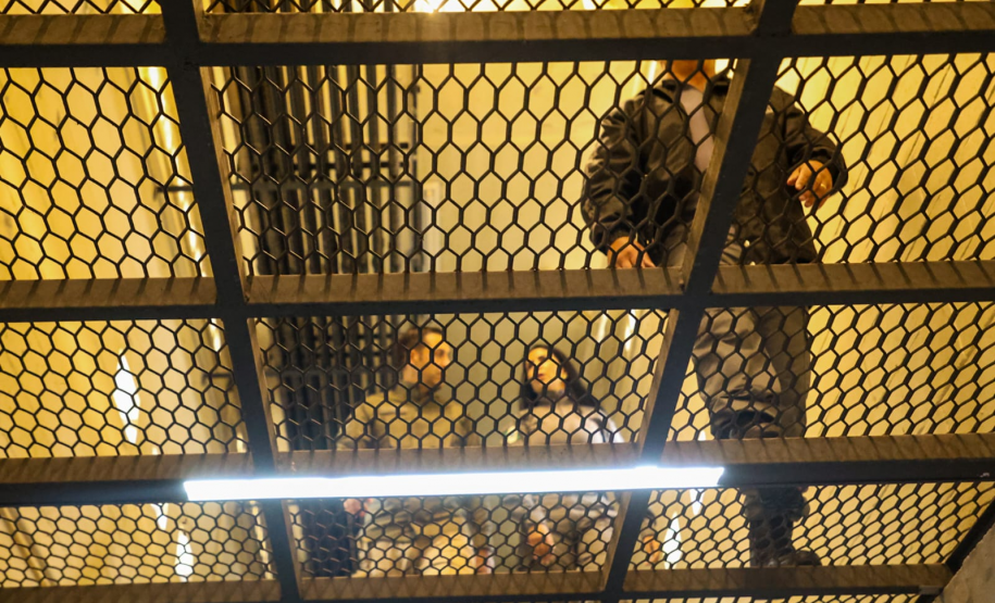 Com operação integrada, Paraná amplia coleta de perfis genéticos em unidades penais