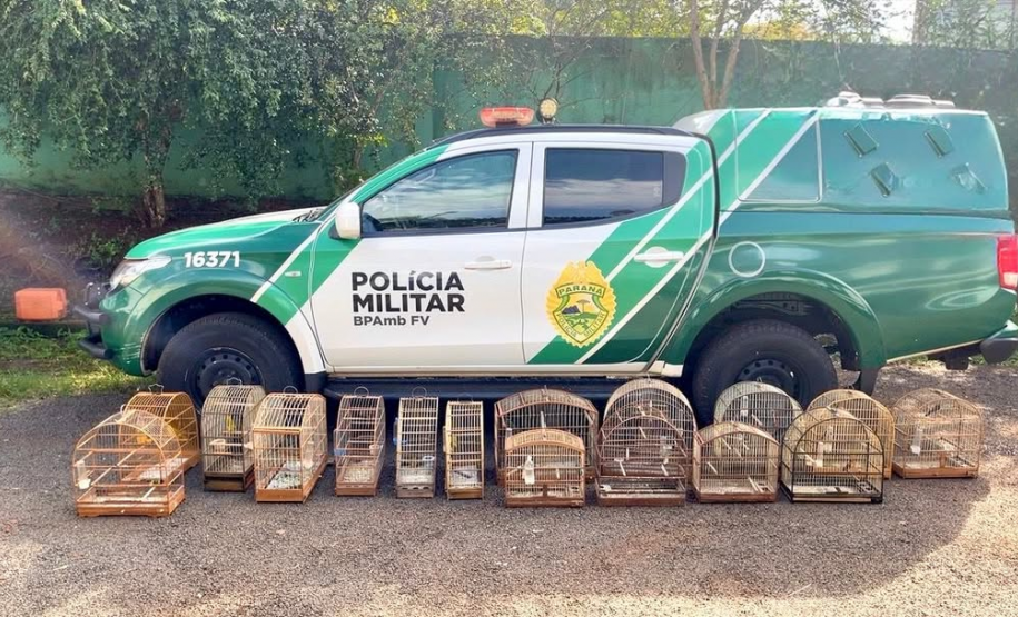 PMPR autua responsável por manter aves silvestres em cativeiro em Medianeira