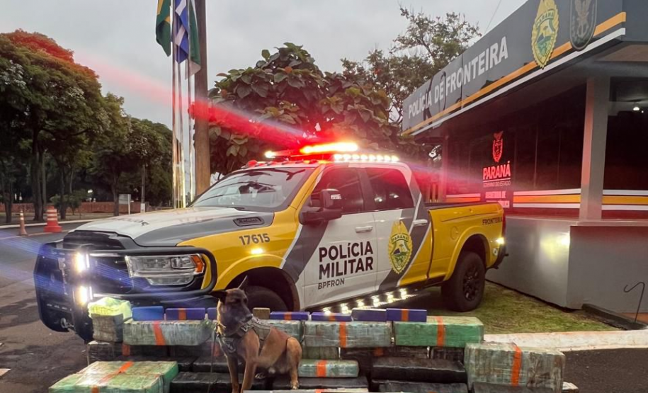 PMPR e forças integradas apreendem quase três toneladas de drogas em operações no Oeste do Paraná