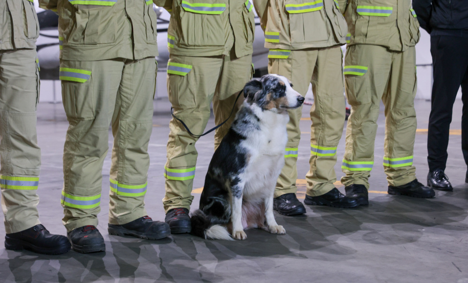 Bombeiros do Paraná embarcam para missão de busca e resgate na Venezuela após terremoto