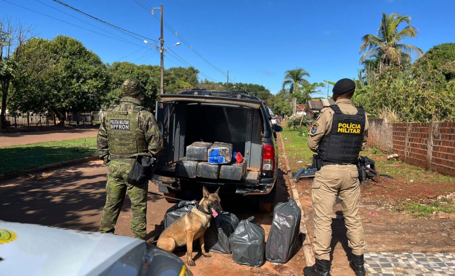 PMPR retirou quase 24 toneladas de drogas de circulação na fronteira em junho