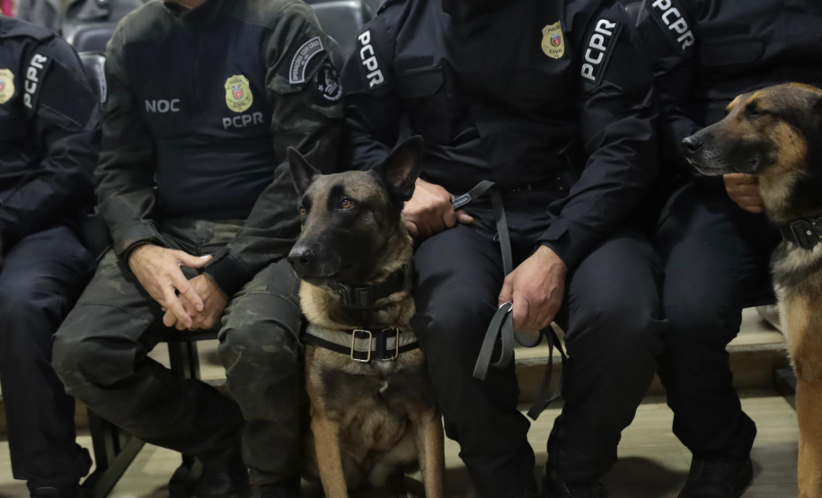 Polícia Civil do Paraná apreende armas e haxixe na Rodoviária de Curitiba