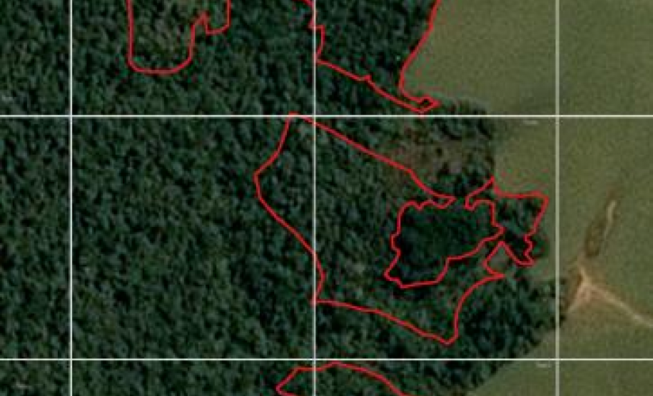 PMPR utiliza imagens de satélite e identifica desmatamento ilegal na Lapa