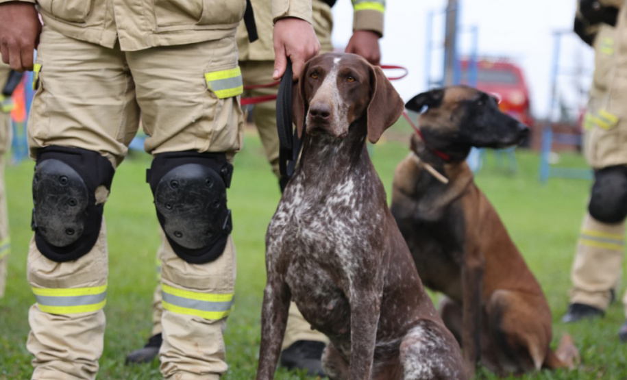 Bombeiros do Paraná participam de simulado com corporações de SC e RS para resposta a desastres
