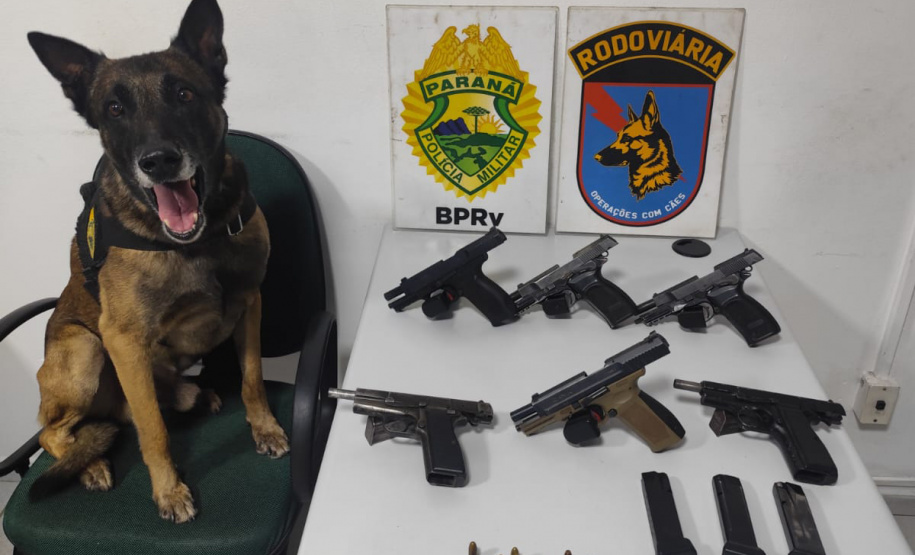 PMPR apreende seis pistolas em ônibus em operação de combate ao tráfico de armas em Piraí do Sul
