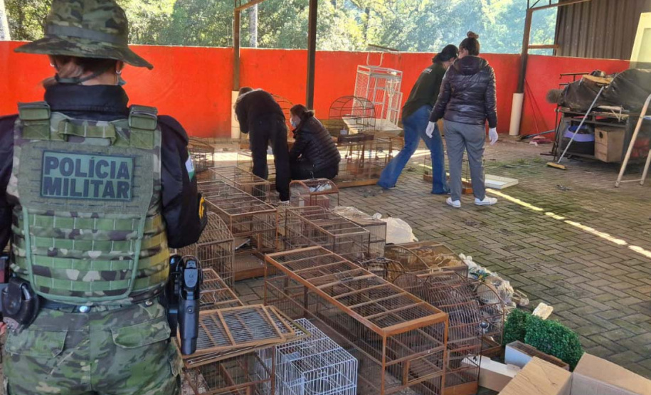 PMPR e IAT apreendem 95 aves e aplicam mais de R$ 400 mil em multas em Guarapuava