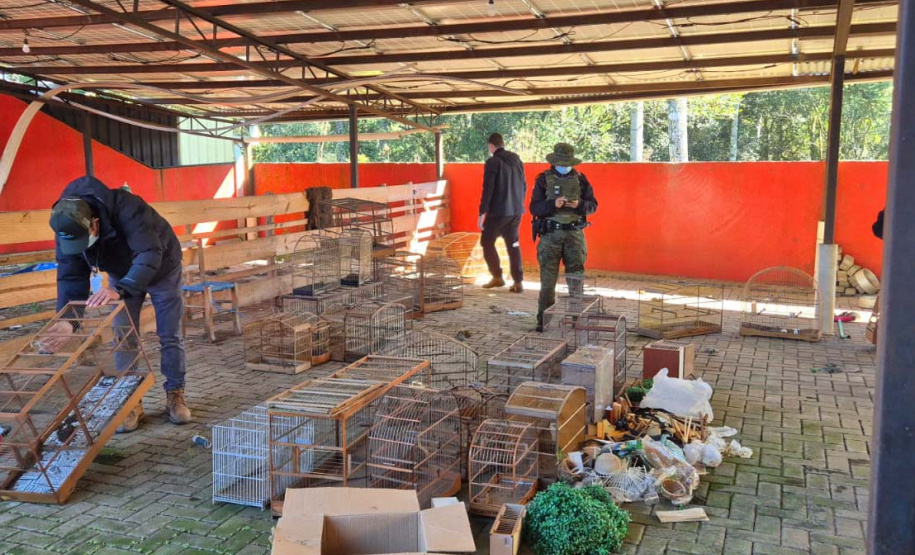 PMPR e IAT apreendem 95 aves e aplicam mais de R$ 400 mil em multas em Guarapuava