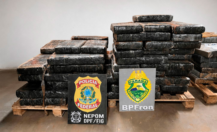 PMPR apreende mais de 5 toneladas de maconha em operações no Oeste