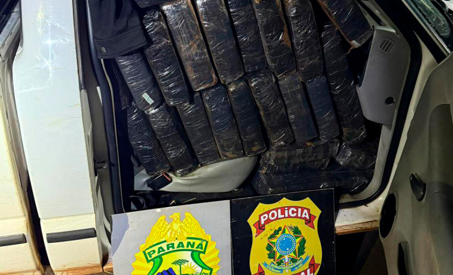 PMPR apreende mais de 5 toneladas de maconha em operações no Oeste