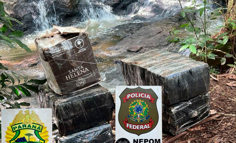 PMPR apreende mais de 5 toneladas de maconha em operações no Oeste