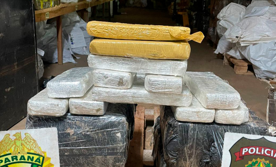 PMPR apreende mais de 5 toneladas de maconha em operações no Oeste
