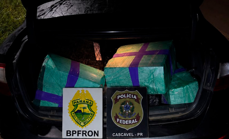 PMPR apreende mais de 5 toneladas de maconha em operações no Oeste