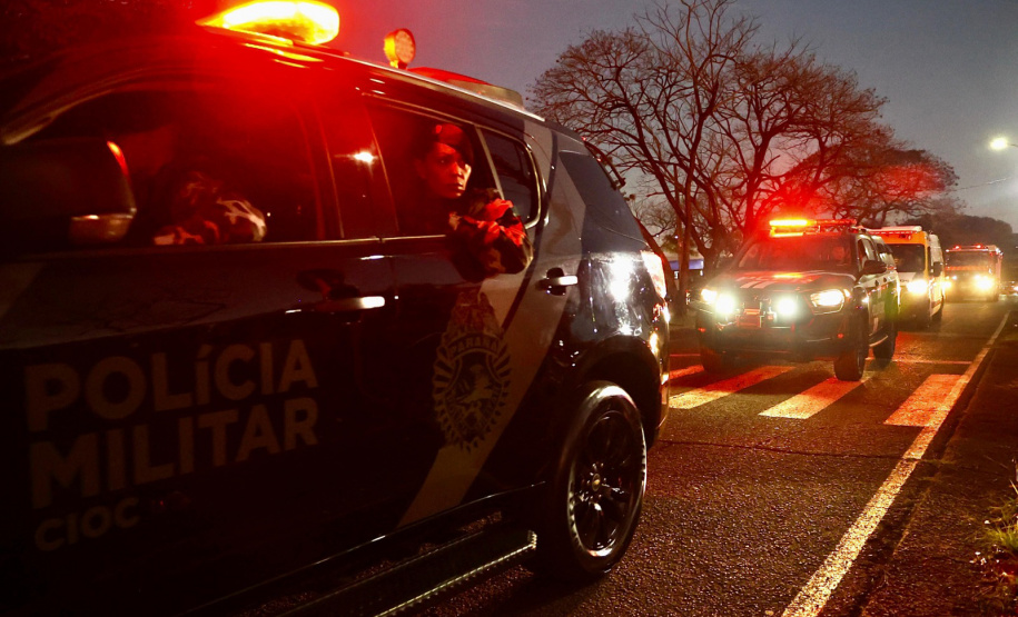 Operação integrada apreende 4,6 toneladas de maconha e reforça combate ao crime no Paraná