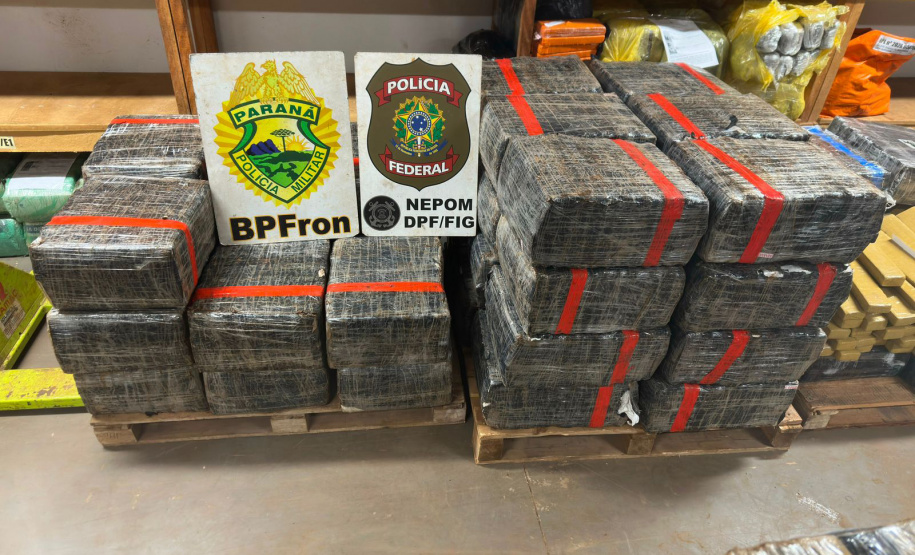 PMPR apreende 1,6 tonelada de maconha; prejuízo ao crime passa de R$ 3,3 milhões