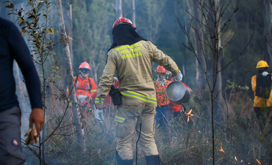 Forças de segurança do Paraná recebem mais de 8 mil novos servidores de 2019 a 2026