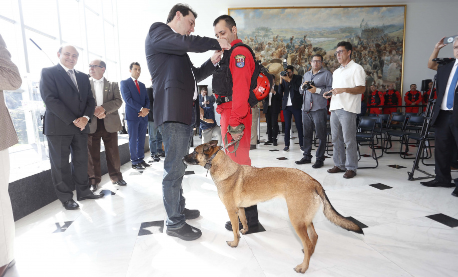 O governador Carlos Massa Ratinho Junior homenageou, nesta segunda-feira (1/4) bombeiros do Estado e profissionais de outras áreas enviados pelo Paraná para apoio aos trabalhos em Brumadinho (MG), após o rompimento da barragem da Mina do Feijão. Curitiba, 01-04-19.Foto: Arnaldo Alves / ANPr.