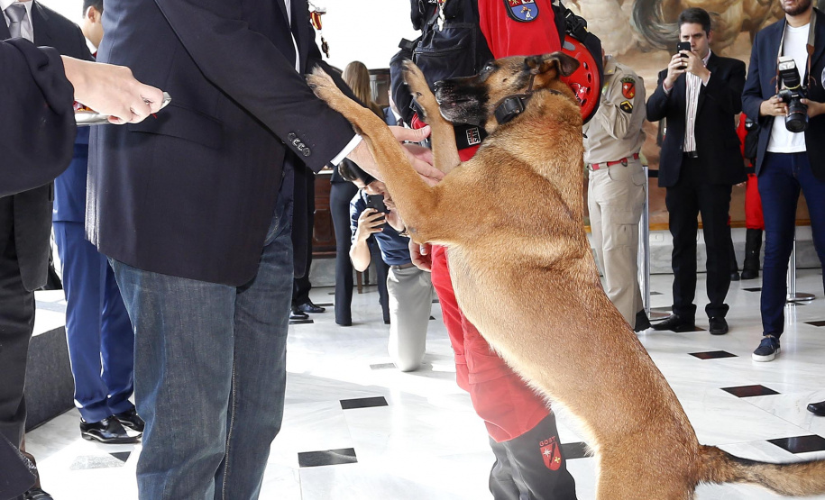 O governador Carlos Massa Ratinho Junior homenageou, nesta segunda-feira (1/4) bombeiros do Estado e profissionais de outras áreas enviados pelo Paraná para apoio aos trabalhos em Brumadinho (MG), após o rompimento da barragem da Mina do Feijão. Curitiba, 01-04-19.Foto: Arnaldo Alves / ANPr.