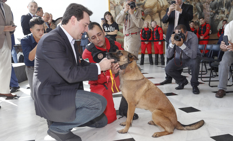 O governador Carlos Massa Ratinho Junior homenageou, nesta segunda-feira (1/4) bombeiros do Estado e profissionais de outras áreas enviados pelo Paraná para apoio aos trabalhos em Brumadinho (MG), após o rompimento da barragem da Mina do Feijão. Curitiba, 01-04-19.Foto: Arnaldo Alves / ANPr.