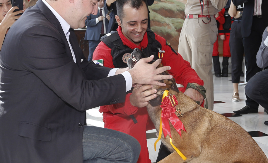 O governador Carlos Massa Ratinho Junior homenageou, nesta segunda-feira (1/4) bombeiros do Estado e profissionais de outras áreas enviados pelo Paraná para apoio aos trabalhos em Brumadinho (MG), após o rompimento da barragem da Mina do Feijão. Curitiba, 01-04-19.Foto: Arnaldo Alves / ANPr.
