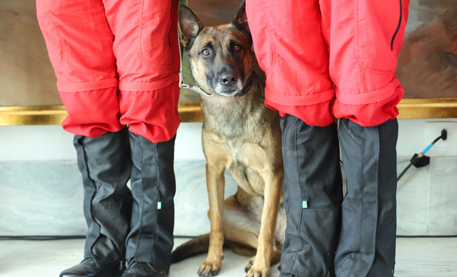 O governador Carlos Massa Ratinho Junior entregou nesta segunda-feira (1º) medalhas de mérito às equipes do Corpo de Bombeiros, Polícia Militar, Polícia Científica e Defesa Civil que ajudaram nas operações de busca e salvamento em Brumadinho, Minas Gerais. - Curitiba, 01-04-19.  -  Foto: Rodrigo Félix Leal/ANPr