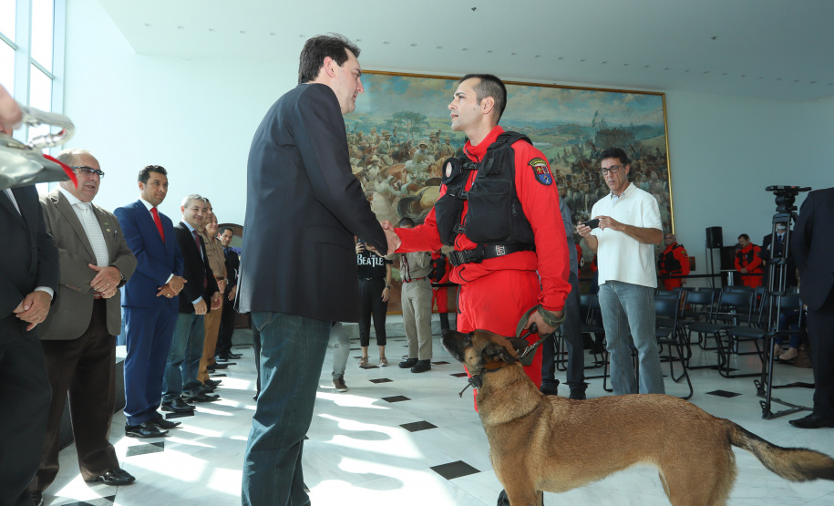 O governador Carlos Massa Ratinho Junior entregou nesta segunda-feira (1º) medalhas de mérito às equipes do Corpo de Bombeiros, Polícia Militar, Polícia Científica e Defesa Civil que ajudaram nas operações de busca e salvamento em Brumadinho, Minas Gerais. - Curitiba, 01-04-19.  -  Foto: Rodrigo Félix Leal/ANPr