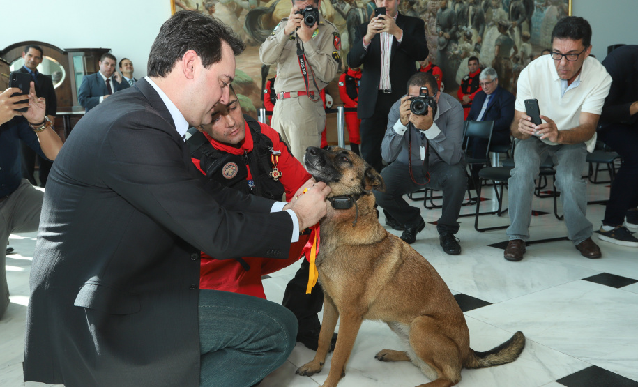 O governador Carlos Massa Ratinho Junior entregou nesta segunda-feira (1º) medalhas de mérito às equipes do Corpo de Bombeiros, Polícia Militar, Polícia Científica e Defesa Civil que ajudaram nas operações de busca e salvamento em Brumadinho, Minas Gerais. - Curitiba, 01-04-19.  -  Foto: Rodrigo Félix Leal/ANPr