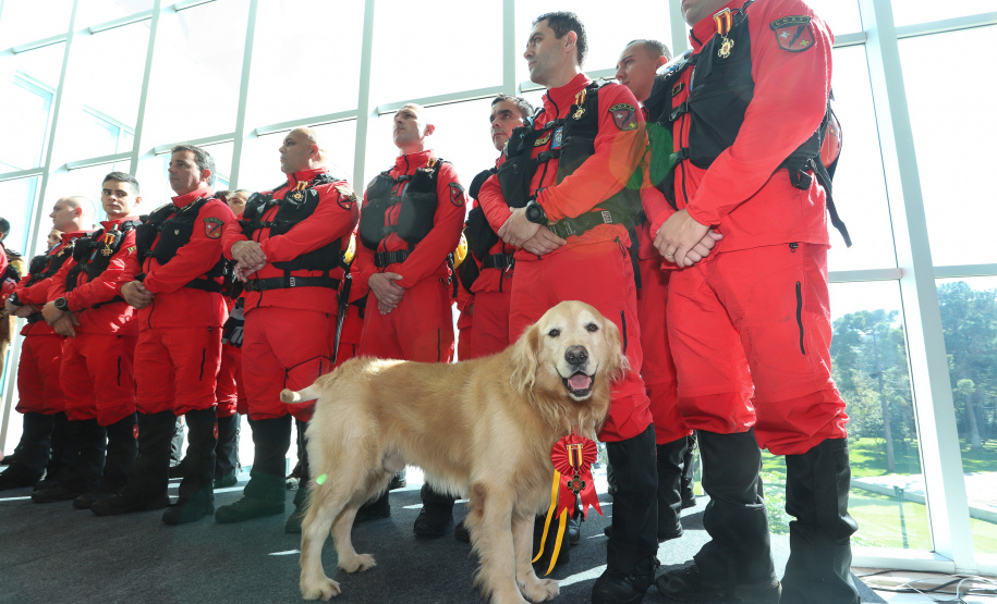 O governador Carlos Massa Ratinho Junior entregou nesta segunda-feira (1º) medalhas de mérito às equipes do Corpo de Bombeiros, Polícia Militar, Polícia Científica e Defesa Civil que ajudaram nas operações de busca e salvamento em Brumadinho, Minas Gerais. - Curitiba, 01-04-19.  -  Foto: Rodrigo Félix Leal/ANPr