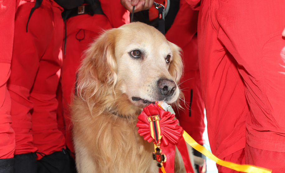 O governador Carlos Massa Ratinho Junior entregou nesta segunda-feira (1º) medalhas de mérito às equipes do Corpo de Bombeiros, Polícia Militar, Polícia Científica e Defesa Civil que ajudaram nas operações de busca e salvamento em Brumadinho, Minas Gerais. - Curitiba, 01-04-19.  -  Foto: Rodrigo Félix Leal/ANPr