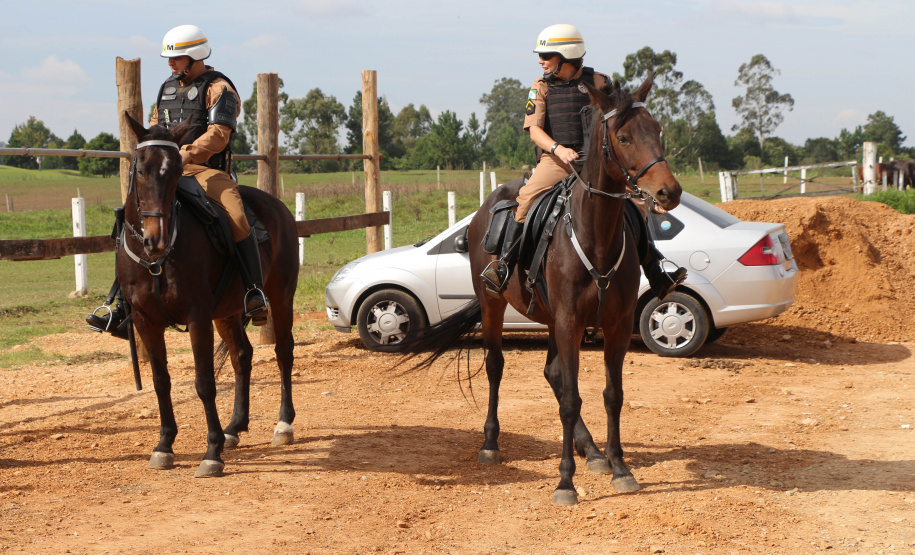 Pinhais, 05 de Abril de 2019. Inauguração Haras Palmital.