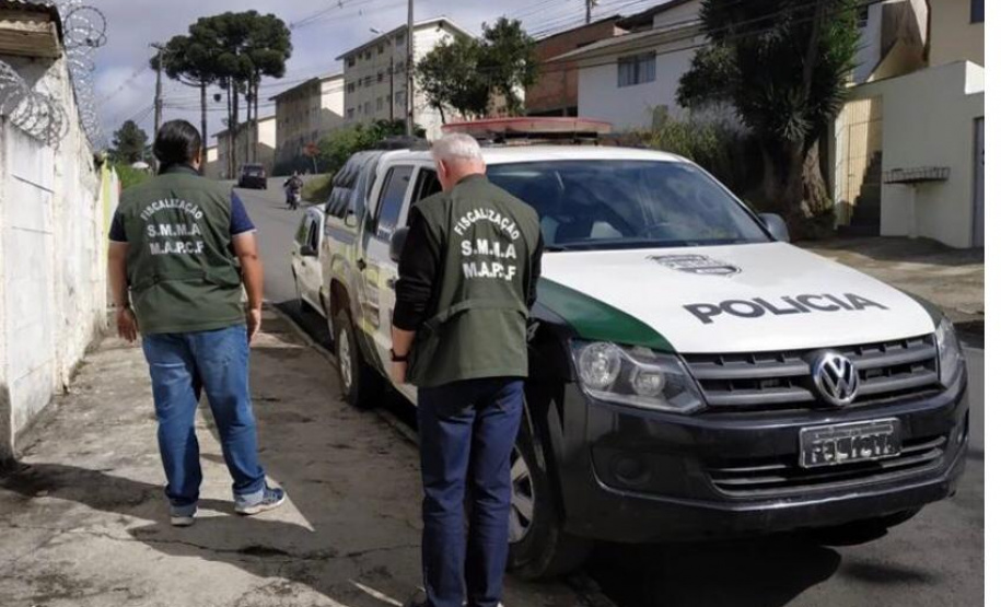 PCPR interdita canil clandestino e apreende 17 cães de raça em Curitiba -