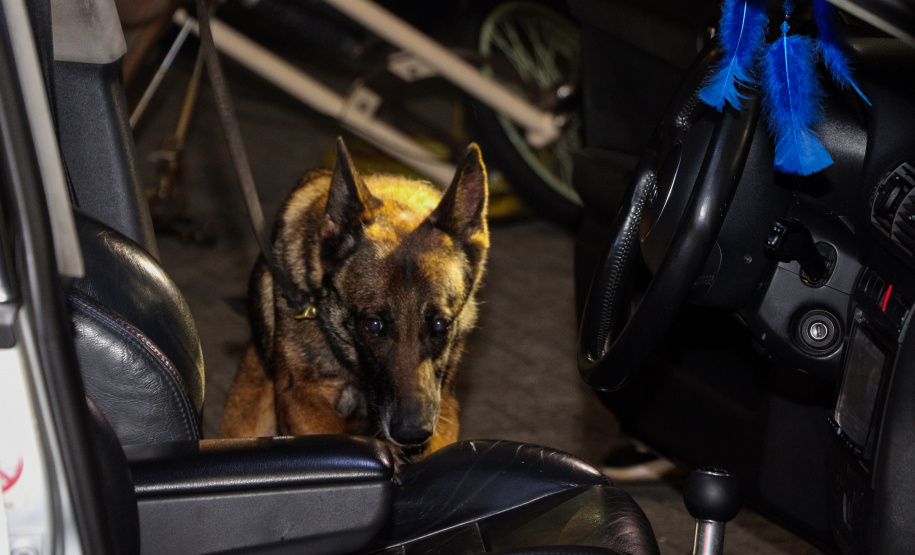 Curitiba, 13 de junho de 2019. Operação Conjunta PMPR e PCPR