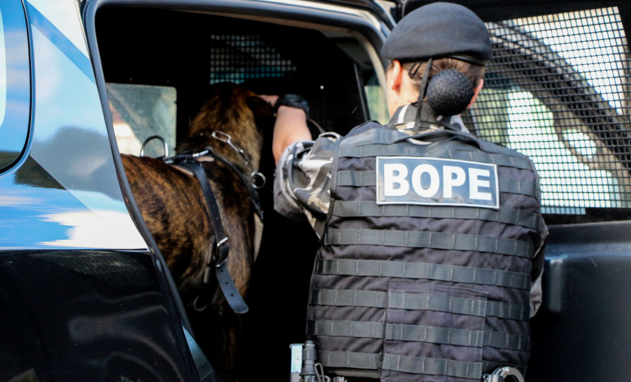 Curitiba, 04 de julho de 2019. RIC Grava no Canil e Entrevista Sd. Chuede.