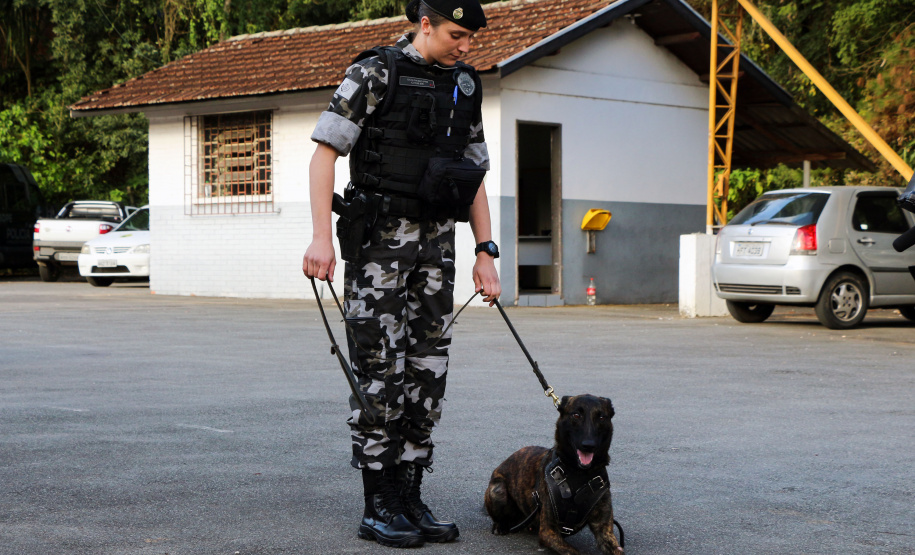 Curitiba, 04 de julho de 2019. RIC Grava no Canil e Entrevista Sd. Chuede.
