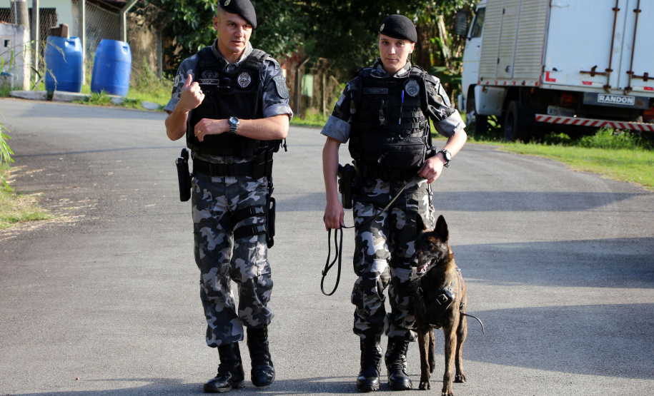 Curitiba, 04 de julho de 2019. RIC Grava no Canil e Entrevista Sd. Chuede.