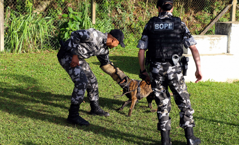 Curitiba, 04 de julho de 2019. RIC Grava no Canil e Entrevista Sd. Chuede.