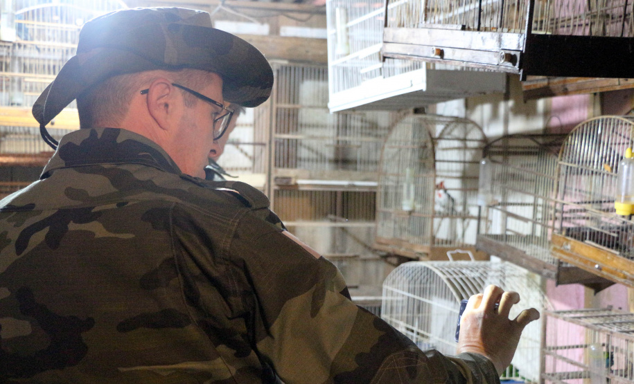 Curitiba, 23 de julho de 2019. BPAmb deflagra a Operação Curio Livre. Foto: Policiais do BPAmb identificam alguns passaros encontrados numa das residências alvo da Operação Curio Livre.