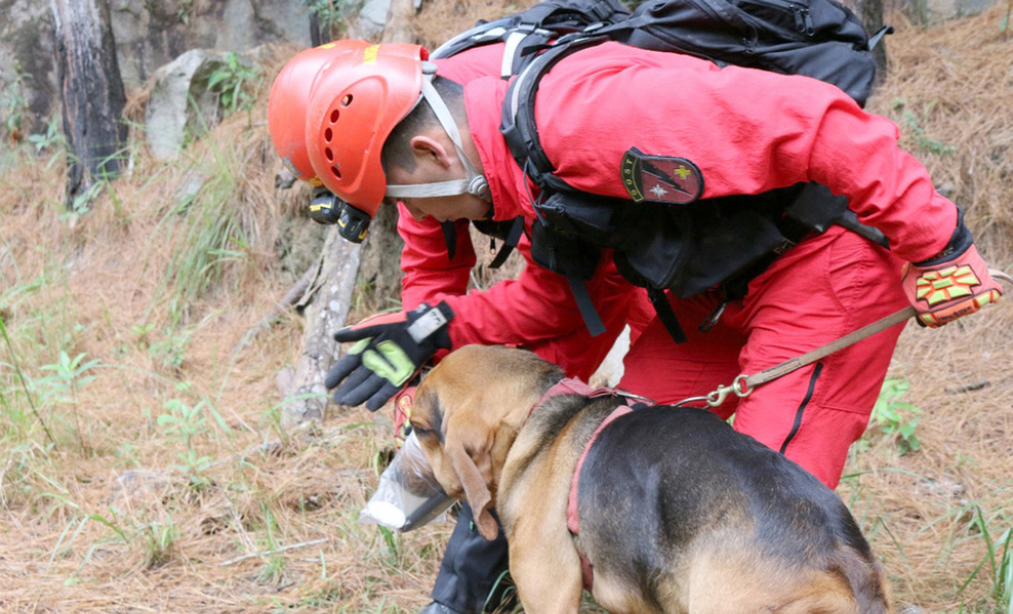 Uma busca que exige mergulhos em locais profundos, salvamento em áreas remotas ou em montanhas, resgate a pessoas soterradas. Estes são alguns exemplos de situações extremas que exigem uma atuação especializada do Corpo de Bombeiros. No Paraná, os profissionais passam por treinamentos especiais que os preparam para agir de forma rápida e eficiente sempre que precisam atender situações complexas, muito além do combate a incêndios.