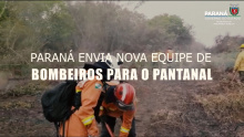 Paraná envia nova equipe de bombeiros para o Pantanal