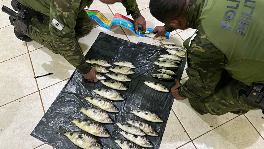 PMPR prende dois homens por pesca irregular no Rio Paraná, em Icaraíma
