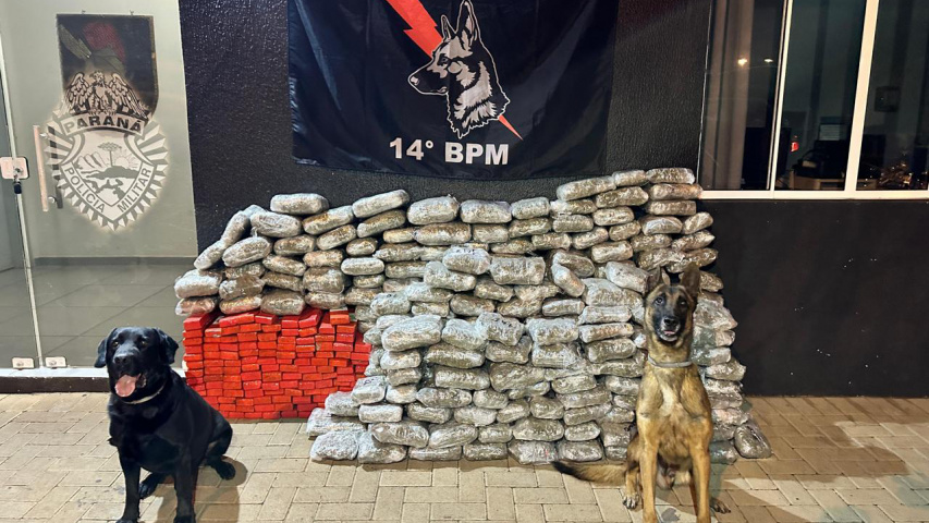 Apreensões de maconha crescem 228% em dez anos na região de fronteira do Paraná
